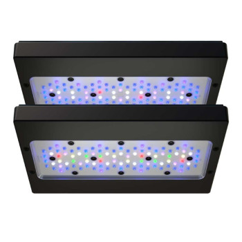 Radion G6 LED Lighting Pro Radion G6 LED Lighting Pro